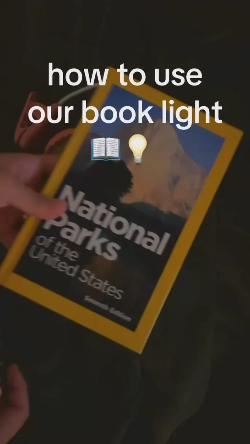 Do Not Disturb Book Light