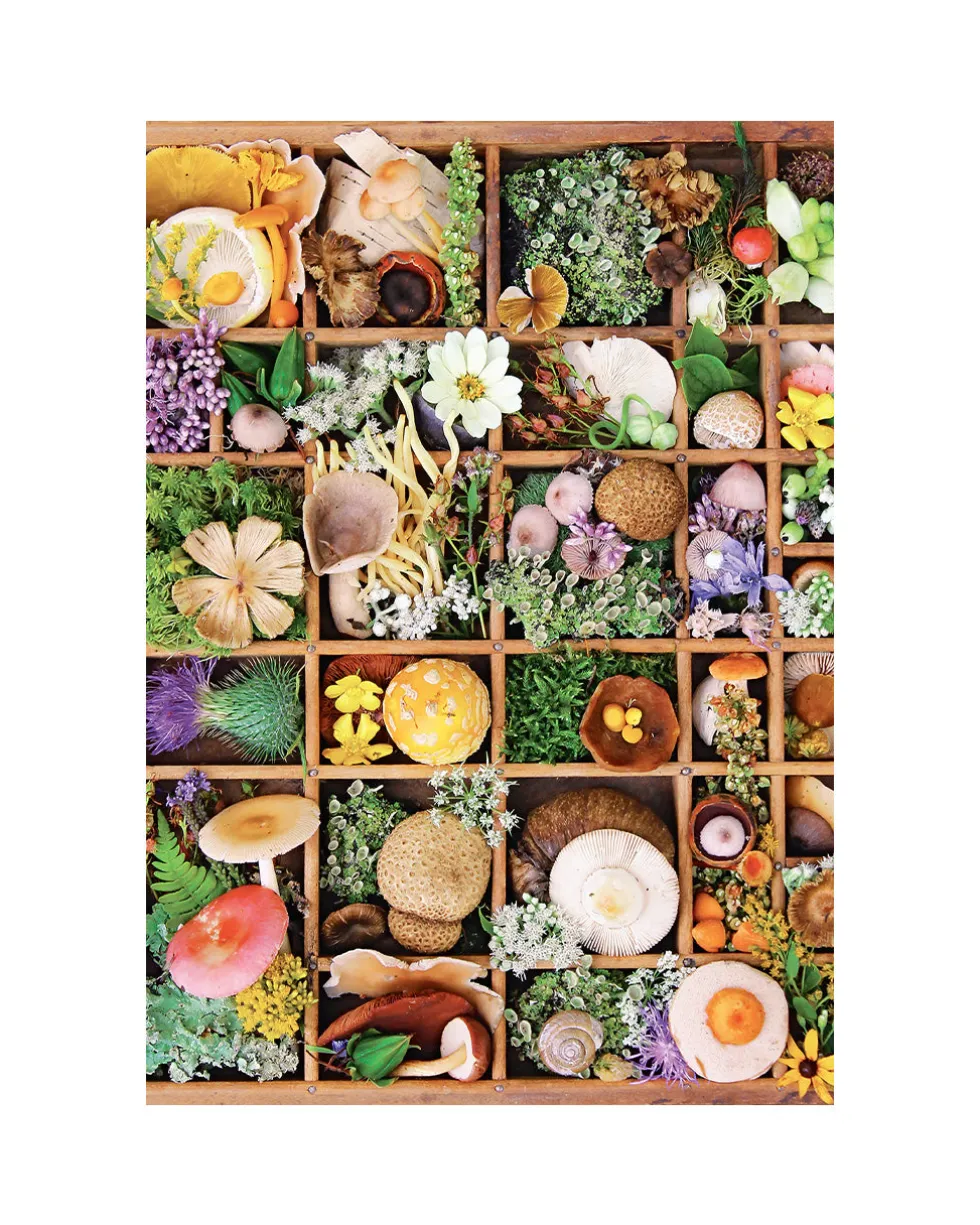 Flowers And Fungi - 500 Piece Puzzle