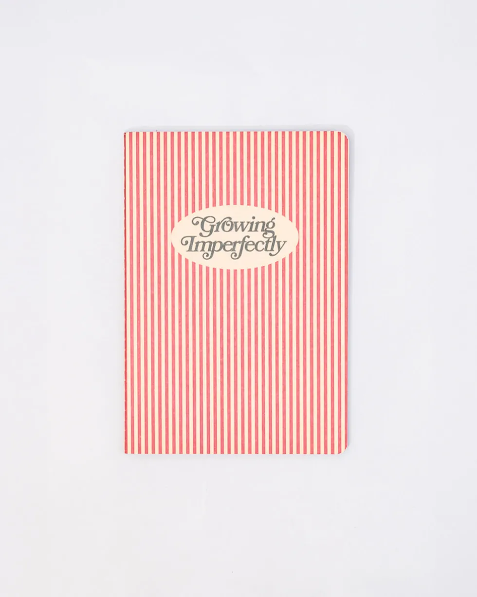 Hold That Thought Notebook Set - Growing Imperfectly