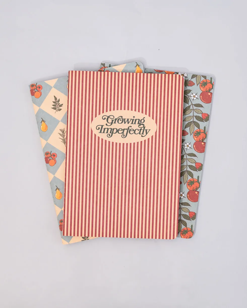 Hold That Thought Notebook Set - Growing Imperfectly