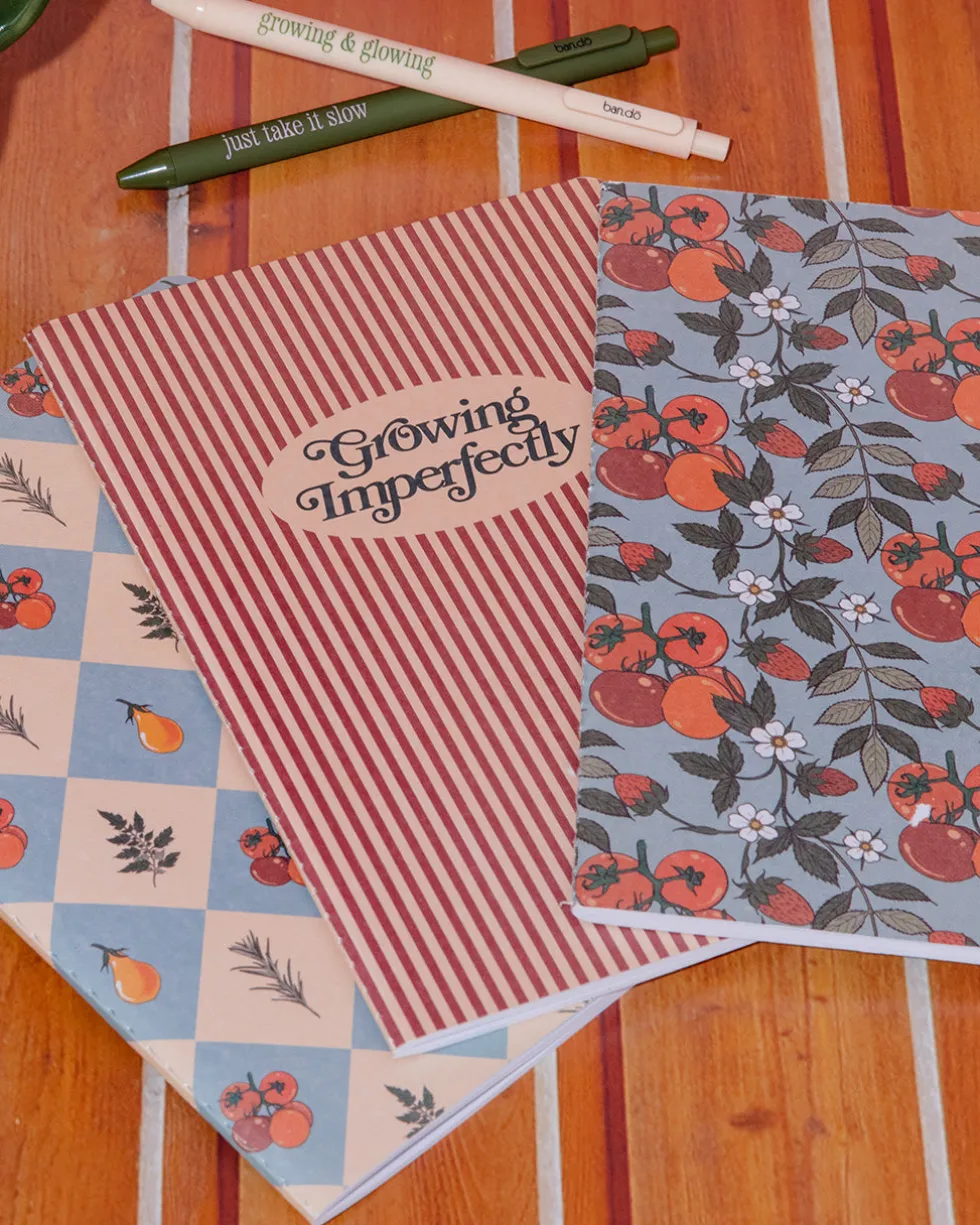 Hold That Thought Notebook Set - Growing Imperfectly