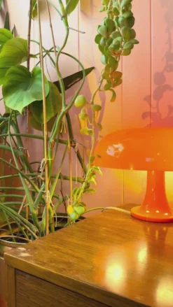 Horseshoe Ceramic Vase