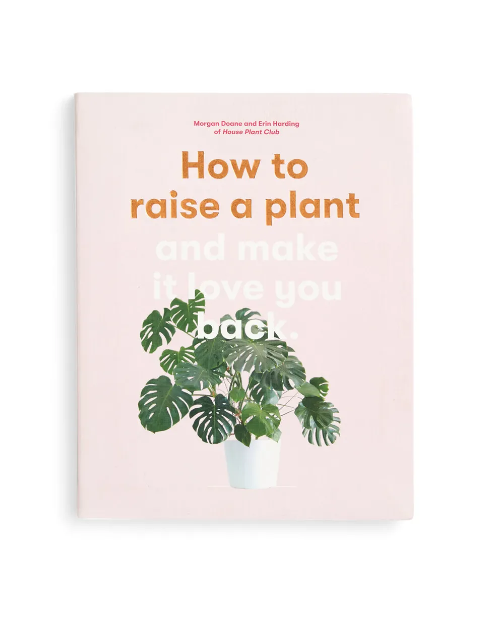 How to Raise a Plant and Make It Love You Back