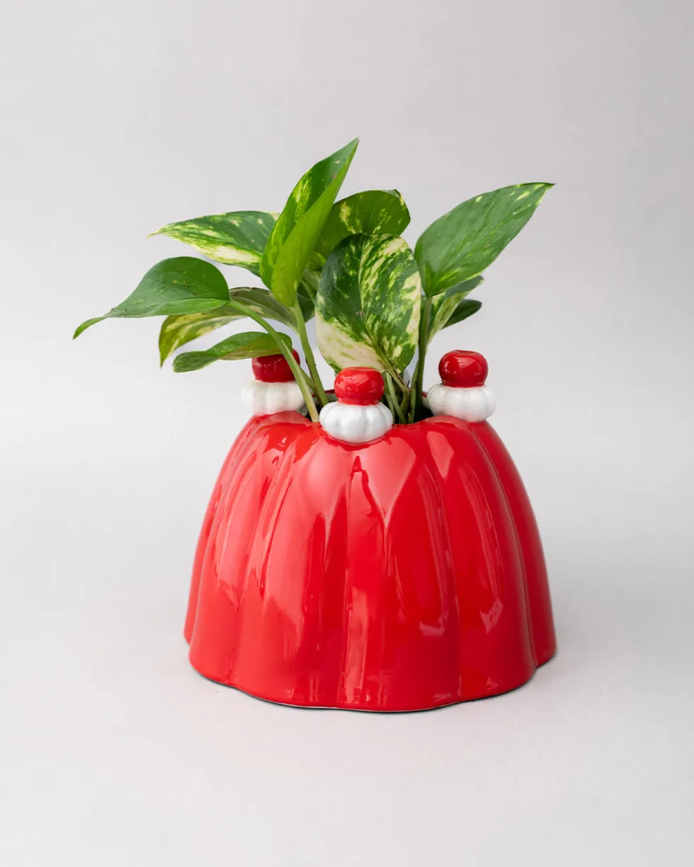 Jelly Dessert Vase
