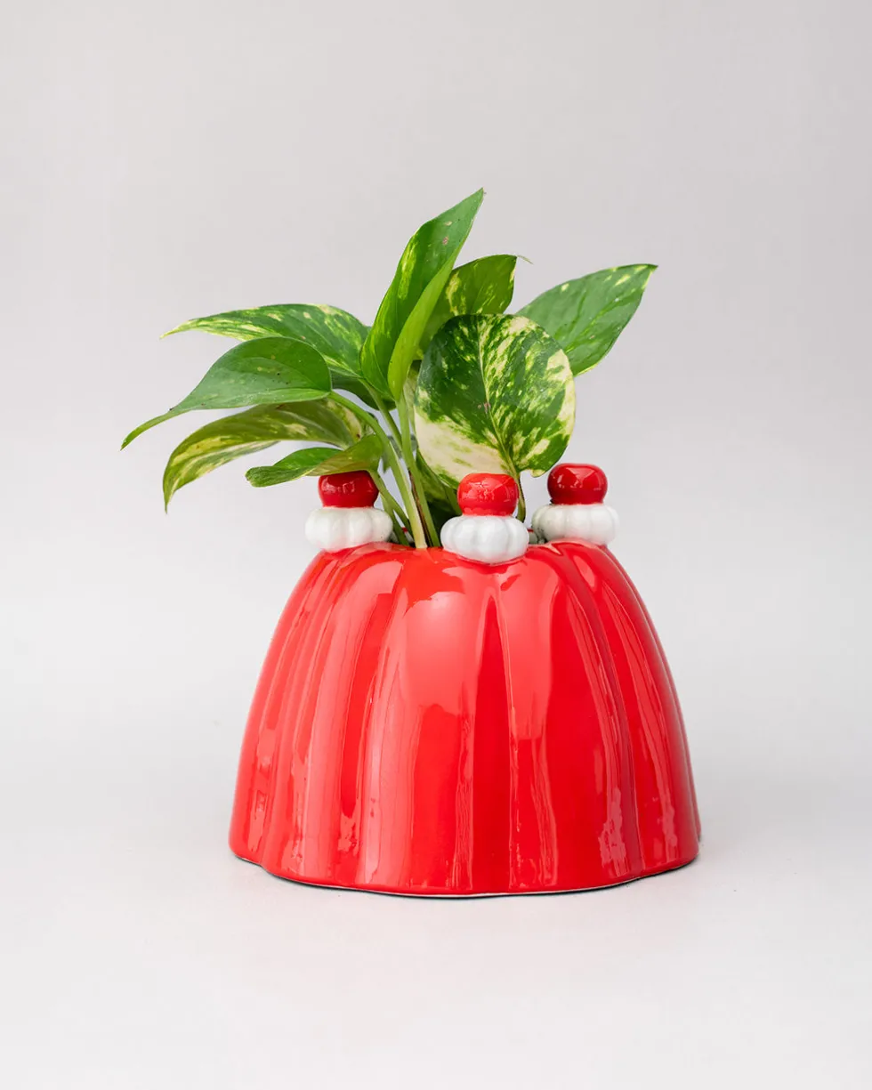 Jelly Dessert Vase