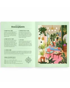 Lighting 101: Houseplants - 500 Piece Book Puzzle