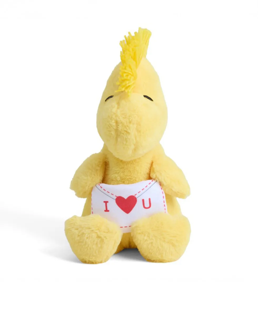 Love Letter Woodstock Warmies