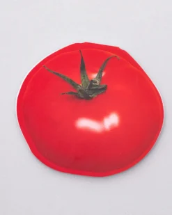 Novelty Notepad - Tomato
