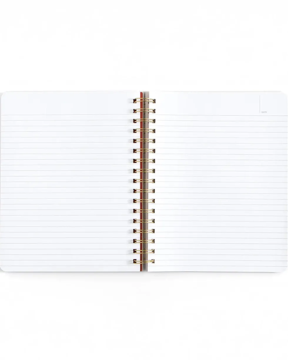Professional Overthinker Spiral Notebook