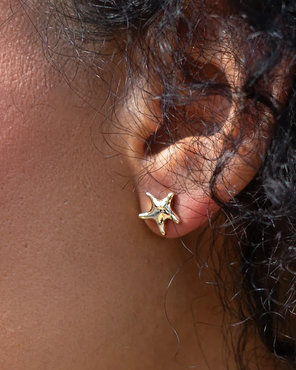 Starfish Studs